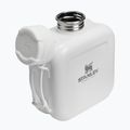 Trinkflasche Stanley The Next X Nature Canteen 740 ml hammertone frost 4