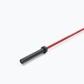 Gerade Langhantelstange Nike Strength Coated Premium Barbell red swoosh 3