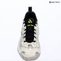 Herren-Basketballschuhe Nike Giannis Immortality 5 white/off white/metallic silver 16