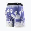 Herren Stance In Paradise Brief Boxershorts blau 2