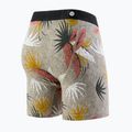 Stance Yacht Club Brief mehrfarbige Boxershorts für Männer 2