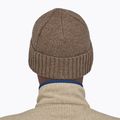 Patagonia Brodeo Beanie fitz roy trout patch/ash tan trekking cap 9