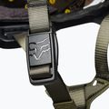Fox Racing Speedframe Pro Blocked Fahrradhelm schwarz-grün 29414_532 12