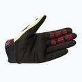 Fahrradhandschuhe Fox Racing Dirtpaw beige 25796_361_S 4