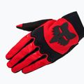 Herren Radhandschuhe Fox Racing Dirtpaw fluoreszierend 5