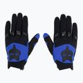 Herren Radhandschuhe Fox Racing Dirtpaw blau 2