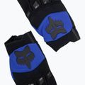 Herren Radhandschuhe Fox Racing Dirtpaw blau 5