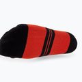 Fox Racing 6 Ranger Prepack 3er-Pack mehrfarbige Radsocken 5