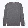 Herren Fahrrad-Langarmshirt Fox Racing Absolute Tech heather graphite 2