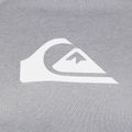 Quiksilver Herren All Time grau Longsleeve 3