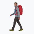 Patagonia Ascensionist 55 Feuer Wanderrucksack 8