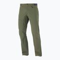 Trekkinghose Herren Salomon Wayfarer grün LC17392