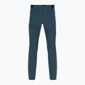Trekkinghose Herren Salomon Wayfarer blau LC17137