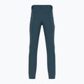 Trekkinghose Herren Salomon Wayfarer blau LC17137 2
