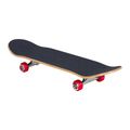 Santa Cruz Classic Dot Mid 7.8 Skateboard grün 118731 2