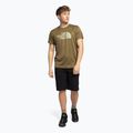 Herren Trainings-T-Shirt The North Face Reaxion Easy grün NF0A4CDV37U1 2