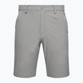 Oakley Take Pro Lite Herren Golf-Shorts grau FOA403098