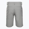 Oakley Take Pro Lite Herren Golf-Shorts grau FOA403098 2