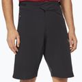 Oakley Factory Pilot Lite Männer Radfahren Shorts schwarz FOA403176