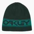 Oakley TNP Reversible Kappe grün FOS901066 4