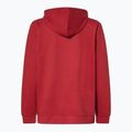 Herren Oakley PO Hoodie eisenrot 2