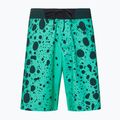 Oakley Maven RC 20" Badeshorts für Herren grün FOA4043099TL 4