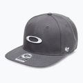 Herren Oakley 47 B1B Ellipse einheitlich grau Baseballkappe