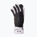 Skihandschuhe Oakley Roundhouse Short Lunar Rock 3