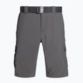 Columbia Silver Ridge II Cargo 023 grau 1794921 Herren-Trekking-Shorts 6