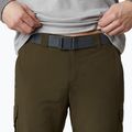 Columbia Silver Ridge II converti 319 grün 1794891 Herren-Trekkinghose 6