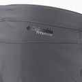 Columbia Titan Pass Herren-Trekking-Shorts grau 1886441023 4