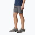 Columbia Silver Ridge II 023 grau 1794931 Herren-Trekking-Shorts