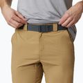 Columbia Silver Ridge II Herren-Trekking-Shorts 243 beige 1794931 4