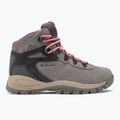 Columbia Newton Ridge Plus WP Amped stratus/canyon rose Damen-Trekkingstiefel 2