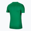 Herren Fußballtrikot Nike Dry-Fit Park VII grün BV6708-302 2