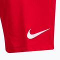 Nike Dri-Fit Park III Herren Trainingsshorts rot BV6855-657 3