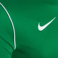 Herren Nike Dri-Fit Park 20 Tannengrün/Weiß Fußballtrikot 3