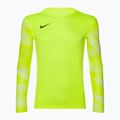 Herren Nike Dri-FIT Park IV Torwart Trikot volt/weiß/schwarz