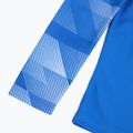 Nike Dry-Fit Park IV Kinder Fußball Sweatshirt blau CJ6072-463 4
