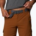 Columbia Silver Ridge II Cargo 235 braun Herren-Trekking-Shorts 1794921 4