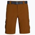Columbia Silver Ridge II Cargo 235 braun Herren-Trekking-Shorts 1794921 6