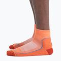 Icebreaker Herren-Trekkingsocken Hike+ Light Mini ember/molten/kyanite 2