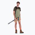Trekking Shirt Herren icebreaker Merino Cool-Lite Sphere III SS Tee Colour Block lichen/loden 5