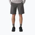 Patagonia Herren Terravia Trail 10" forge grau Shorts