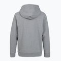 Damen-Trekkingsweatshirt Patagonia P-6 Label Uprisal Hoody gravel heather 2