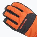 Snowboardhandschuhe Kinder Dakine Yukon pureed pumpkin 4