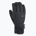 Snowboard Handschuhe Herren Dakine Titan Gore-Tex Short Glove black 11