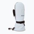 Damen Snowboardhandschuhe Dakine Camino Mitt ancient water 2