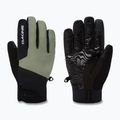 Herren Snowboardhandschuhe Dakine Impreza Gore-Tex Glove mulled basil