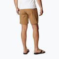 Columbia Maxtrail Lite 257 braun Herren-Trekking-Shorts 1990471 2